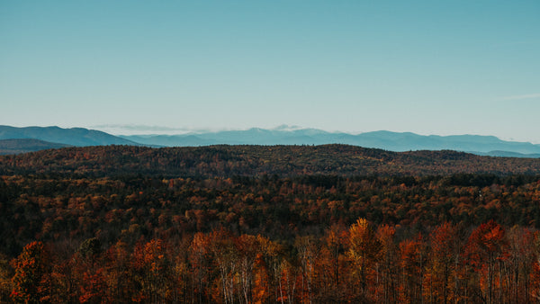 Best Places to Visit In Maine in the Fall